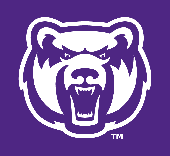 Central Arkansas Bears 2009-Pres Alternate Logo v13 diy DTF decal sticker